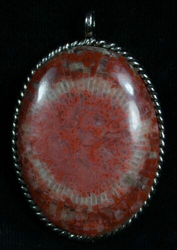 Fossil Red Horn Coral Pendant - Utah #5952